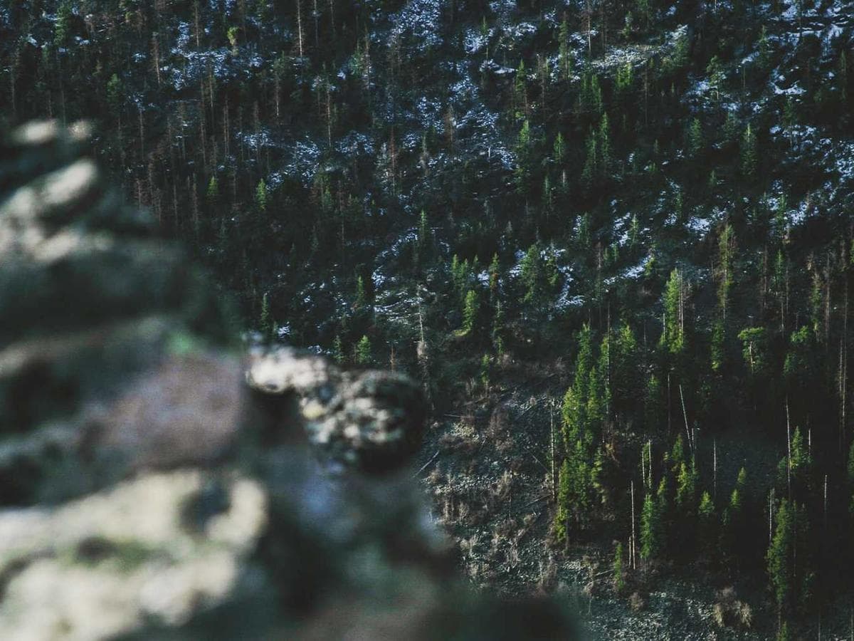 Brand Identity - Bloom Café