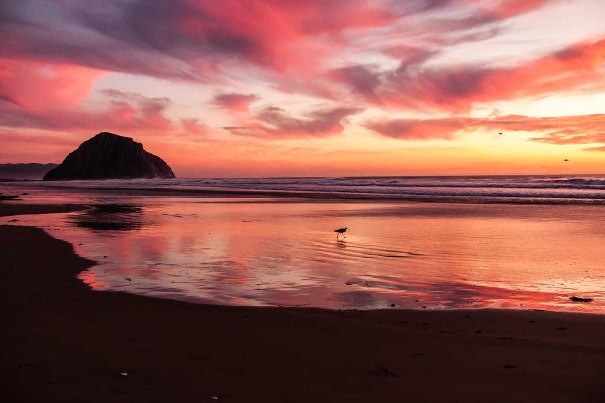 Packaging Design - Artisan Chocolates - Image 1