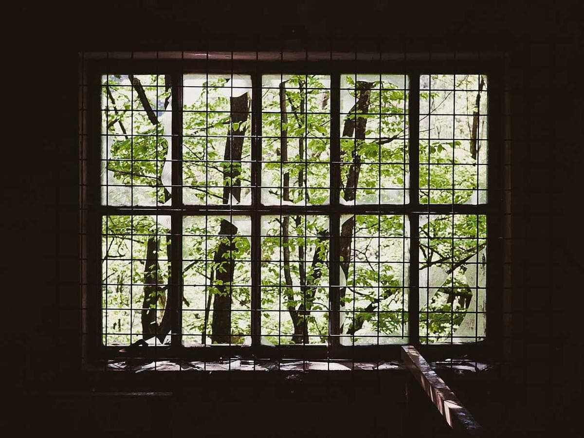 Editorial Illustration - Nature Magazine