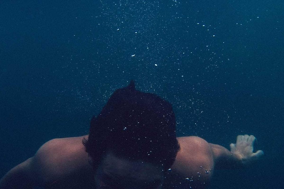 Editorial Illustration - Nature Magazine - Image 4