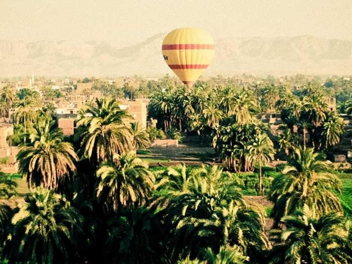 Book Cover Design - Poetry Collection